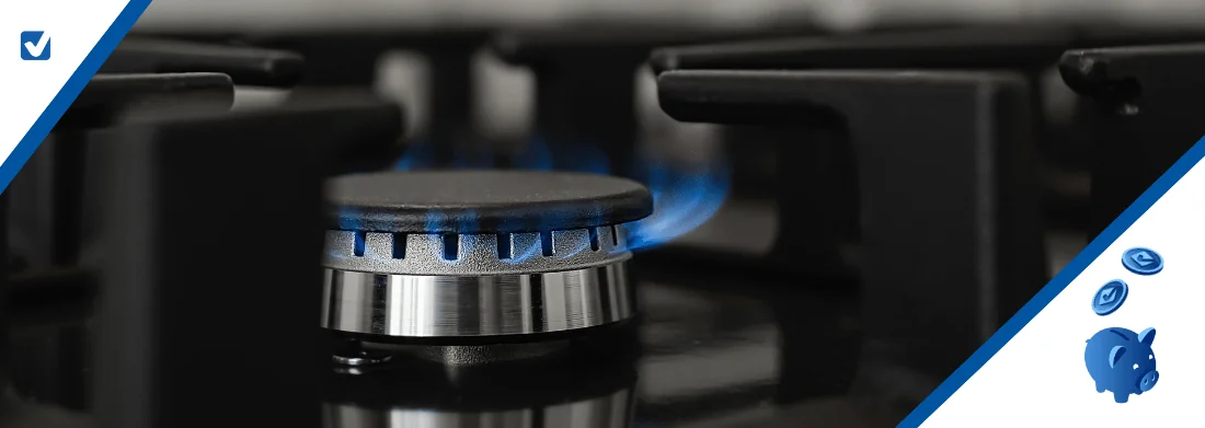 Flacără de gaz natural cu logo Selectra